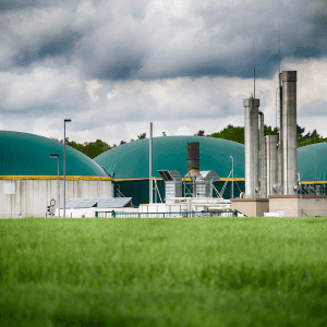 Welcome to Oil Store! 9 Gas Engine Oils