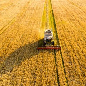 Welcome to Oil Store! 3 Agricultural